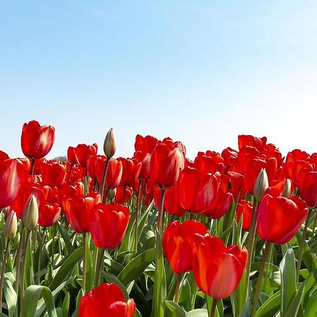 Radiant Seaside Holiday Home كالانتسوج المظهر الخارجي الصورة